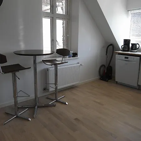 Lovely And Homey Flat Kodaň
